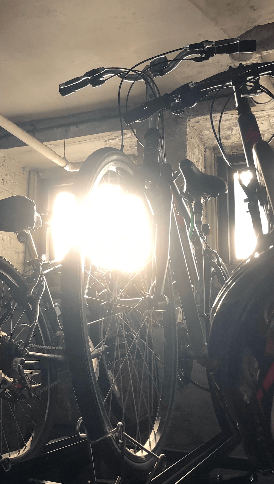 A picture of my bike.